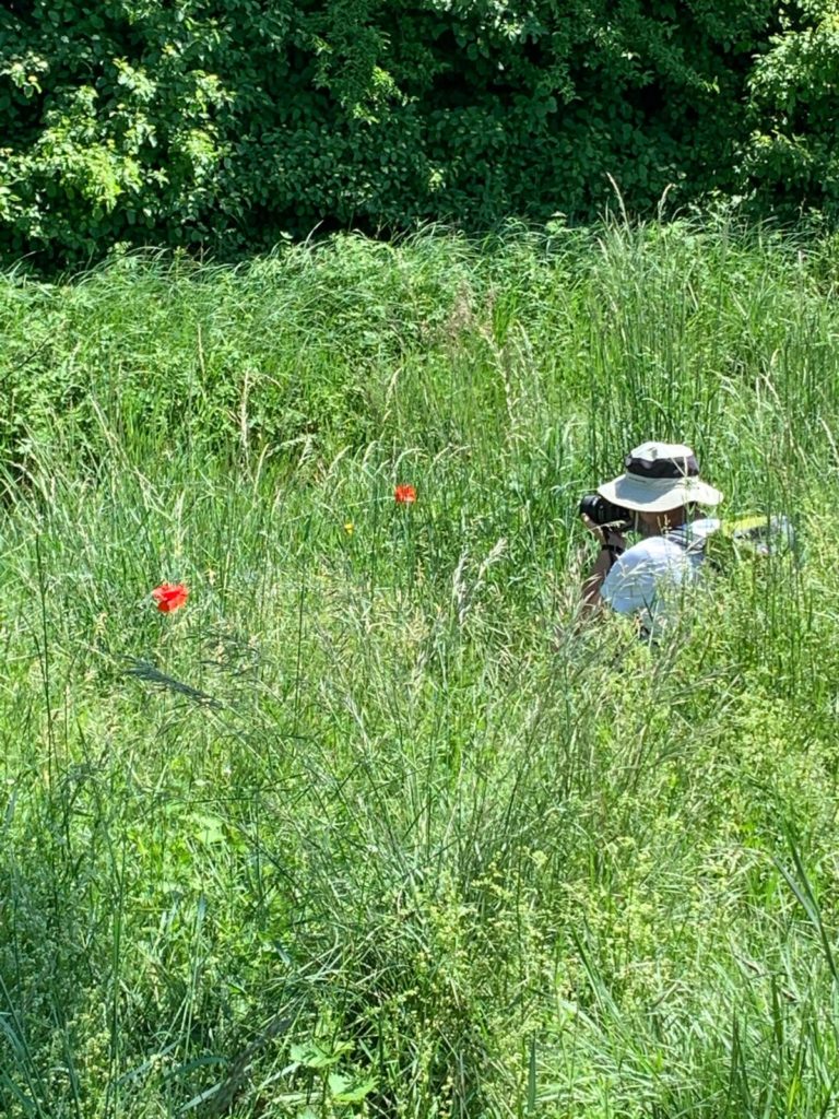 Nadir Cherix Photographe