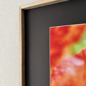 Exemple montage idem Expo Evanescence 2024